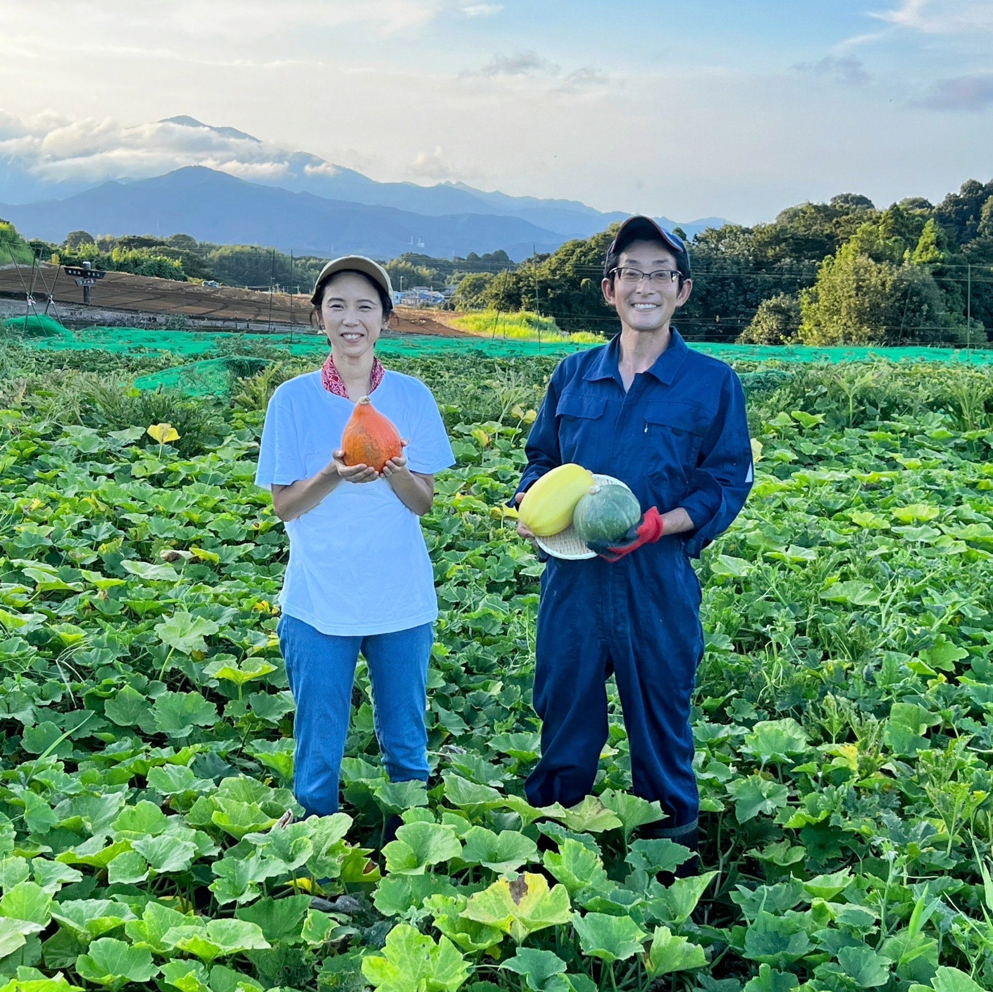 残暑お見舞い申し上げます。アンジャッシュ児嶋さんとロケの畑で　